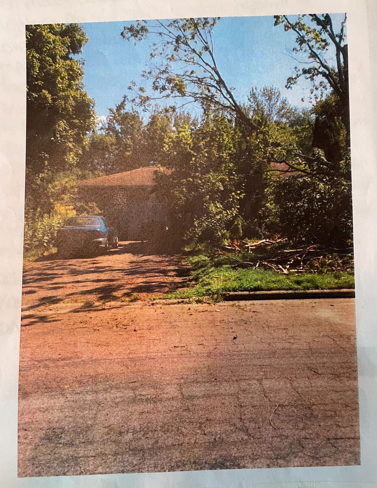 Borchardt front yard